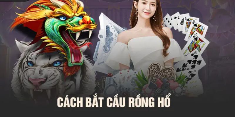 Cách Bắt Cầu Rồng Hổ Hiệu Quả Từ Cao Thủ Bạn Chưa Biết Cách bắt Rồng Hổ siêu chuẩn xác