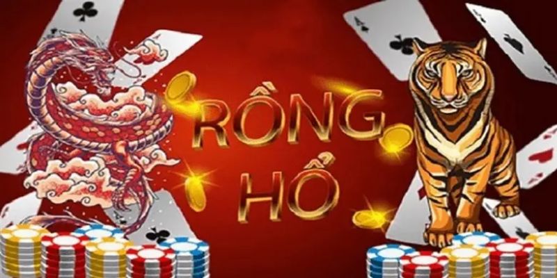 Cách Bắt Cầu Rồng Hổ Hiệu Quả Từ Cao Thủ Bạn Chưa Biết Kinh nghiệm bắt cầu Rồng Hổ bạn cần biết