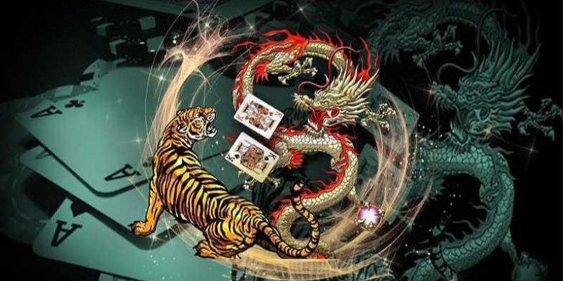 Cách Bắt Cầu Rồng Hổ Hiệu Quả Từ Cao Thủ Bạn Chưa Biết cách bắt cầu rồng hổ