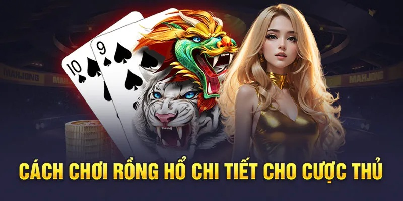 Cách Chơi Rồng Hổ Chuẩn – Khám Phá Vô Vàn Bí Kíp Của Cao Thủ Cách chơi Rồng Hổ