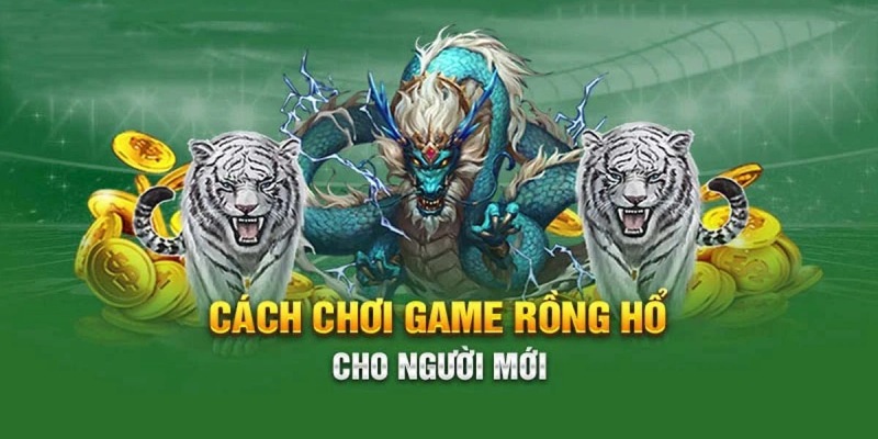 Hướng Dẫn Chơi Rồng Hổ – Khám Phá Loạt Bí Kíp Từ Cao Thủ hướng dẫn chơi rồng hổ