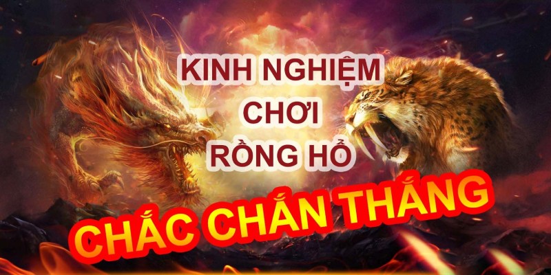 Kinh nghiệm chơi Rồng Hổ sẽ hỗ trợ chinh phục thưởng lớn hấp dẫn